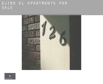 Ejido (El) apartments for sale