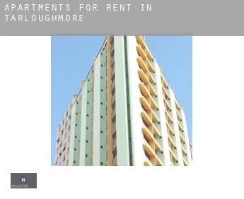 Apartments for rent in  Tarloughmore