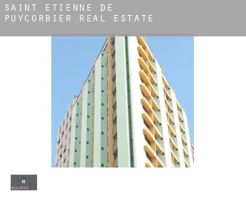 Saint-Étienne-de-Puycorbier  real estate