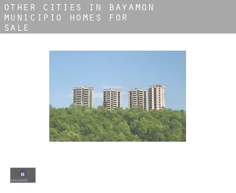 Other cities in Bayamon Municipio  homes for sale