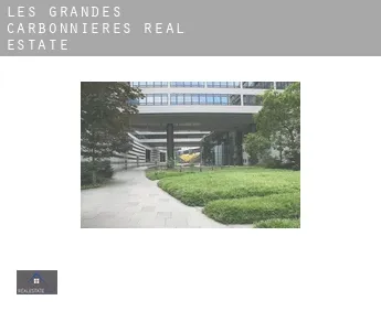 Les Grandes Carbonnières real estate