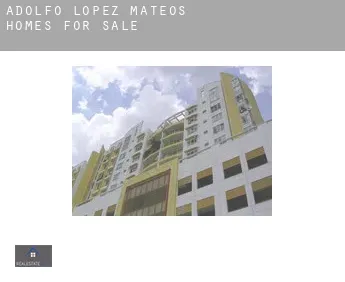 Adolfo López Mateos  homes for sale