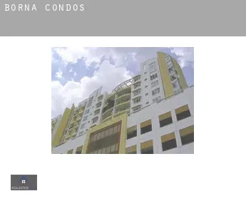 Borna  condos