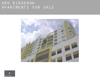 Groß Ridsenow  apartments for sale