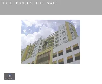 Hole  condos for sale