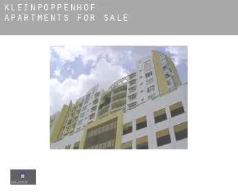 Kleinpoppenhof  apartments for sale