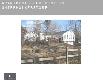 Apartments for rent in  Unterwolkersdorf