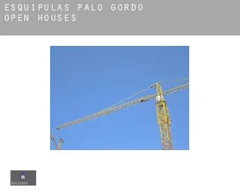 Municipio de Esquipulas Palo Gordo  open houses