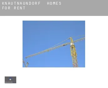 Knautnaundorf  homes for rent