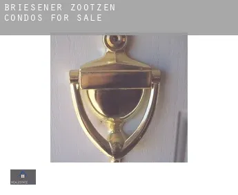 Briesener Zootzen  condos for sale