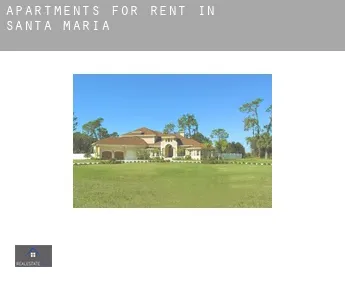 Apartments for rent in  Santa Maria