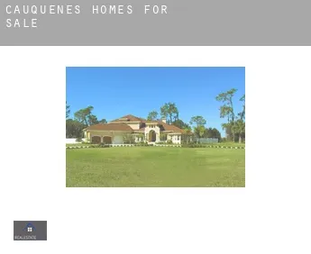 Cauquenes  homes for sale