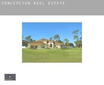 Concepción  real estate