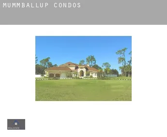 Mummballup  condos