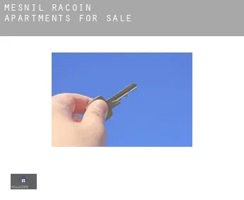Mesnil-Racoin  apartments for sale