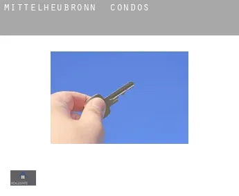 Mittelheubronn  condos