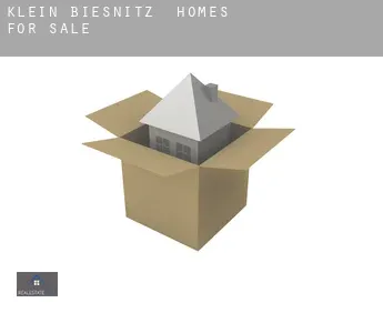 Klein Biesnitz homes for sale