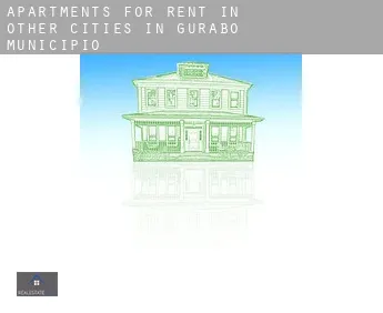 Apartments for rent in  Other cities in Gurabo Municipio
