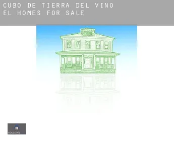 Cubo de Tierra del Vino (El)  homes for sale