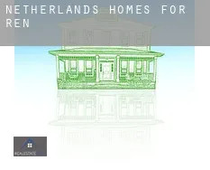 Netherlands  homes for rent