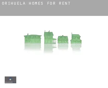 Orihuela  homes for rent
