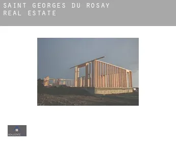 Saint-Georges-du-Rosay real estate