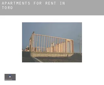 Apartments for rent in  Toro