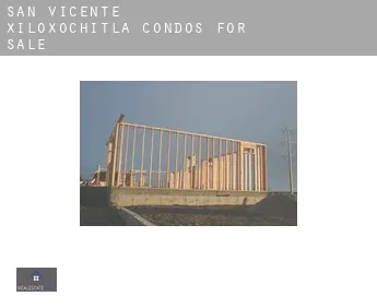 San Vicente Xiloxochitla  condos for sale