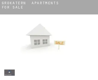 Großkatern  apartments for sale
