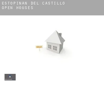 Estopiñán del Castillo  open houses
