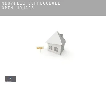 Neuville-Coppegueule  open houses