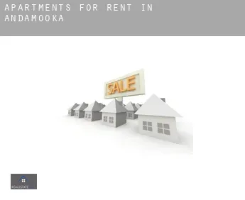 Apartments for rent in  Andamooka