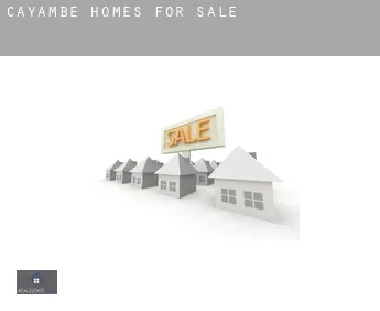 Cayambe  homes for sale