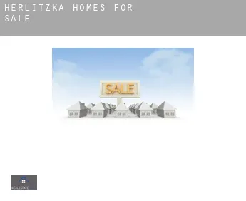 Herlitzka homes for sale