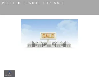 Pelileo  condos for sale