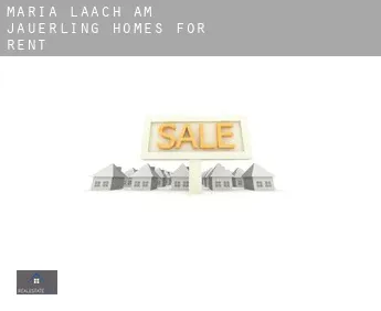 Maria Laach am Jauerling  homes for rent
