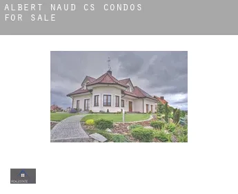Albert-Naud (census area)  condos for sale