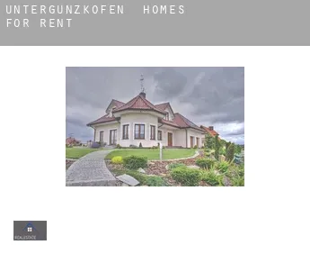 Untergünzkofen homes for rent