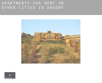 Apartments for rent in  Other cities in Saxony