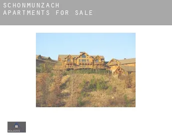 Schönmünzach  apartments for sale