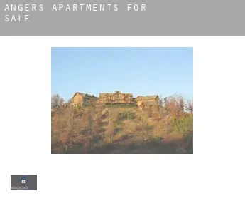 Angers  apartments for sale