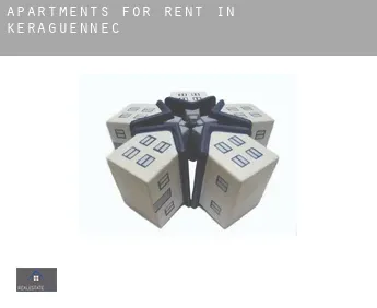 Apartments for rent in  Kéraguennec