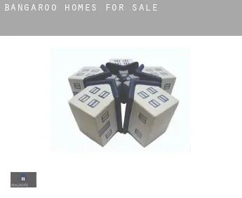 Bangaroo  homes for sale