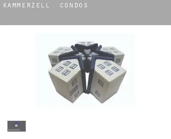 Kämmerzell  condos