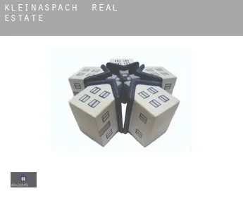 Kleinaspach  real estate