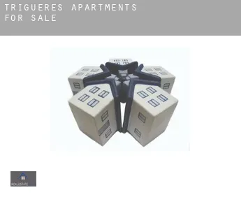 Triguères apartments for sale