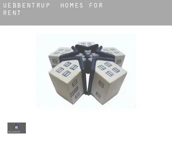 Uebbentrup  homes for rent
