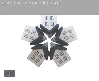 Acayuca homes for sale