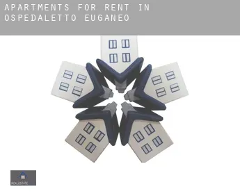 Apartments for rent in  Ospedaletto Euganeo