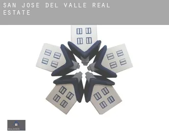 San José del Valle  real estate